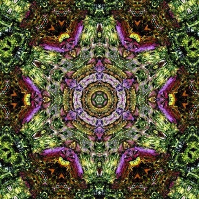 Hashmal - Single