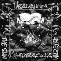 Ice in the Sun - VEALINIUM