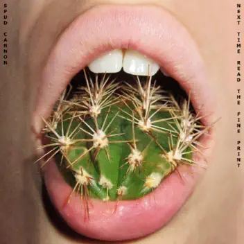 Next Time Read the Fine Print album cover