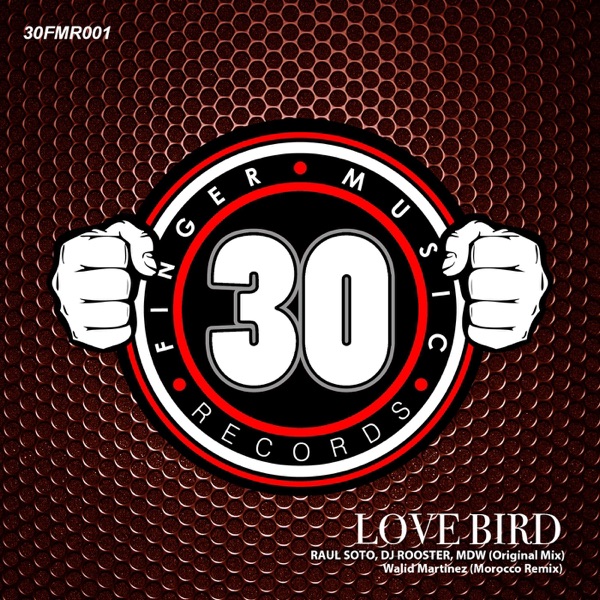 Love Bird - Single