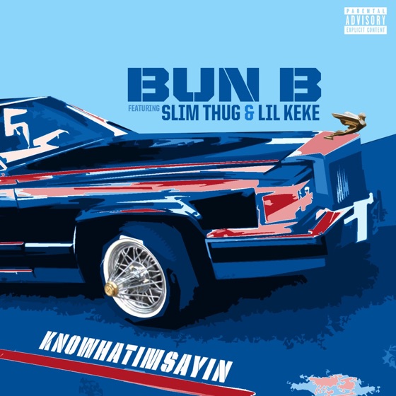 Cover artwork for Knowhatimsayin (feat. Slim Thug & Lil' Keke)
