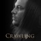 Crawling - Danger Silent lyrics