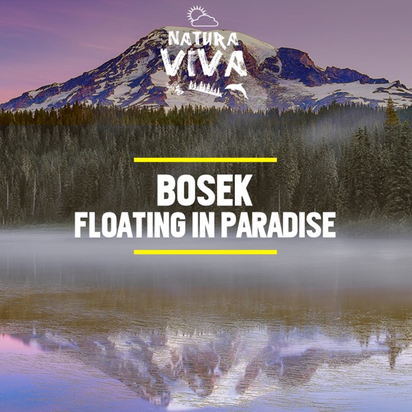 Floating in Paradise - Single