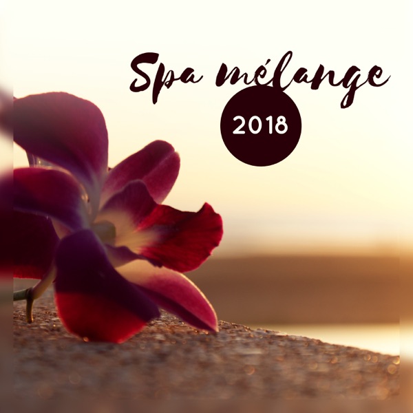 Spa mélange 2018 - Oasis de détente: Piano anti stress, Guitare acoustique, Expérience celtique, Musique arabe, Orientale et africaine