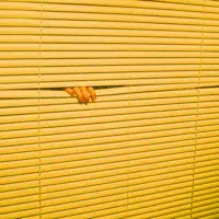 Eyes Off You — Phangs
