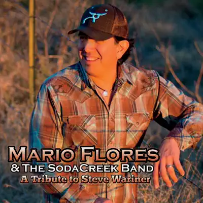 A Tribute to Steve Wariner - EP - Mario Flores A Tribute to Steve Wariner - EP - Mario Flores