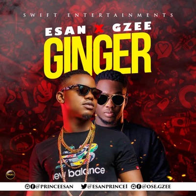 Ginger (feat. Gzee) - Single