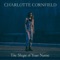 Andrew - Charlotte Cornfield lyrics