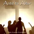 Vamos adelante
