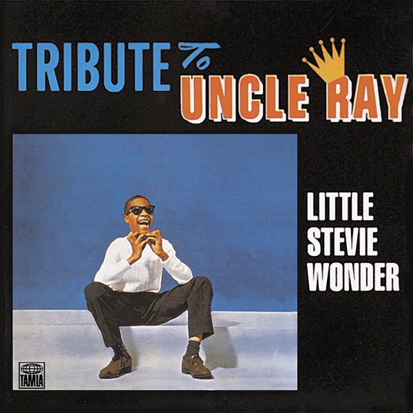 Tribute to Uncle Ray - Stevie Wonder