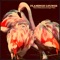 Leaving the Lights (feat. Ingo Herrmann) - Luis Hermandez lyrics