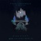 Kiss Fight (feat. gnash) [Ben Phipps Remix] - BLANKTS & Tülpa lyrics