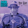 Hey Man (Expanded Edition), 1996