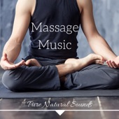 Massage Music - Pure Natural Sounds with Instrumental Music and Soothing Gentle Sounds for Deep Sleep artwork