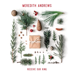 Meredith Andrews Sweet Little Jesus Boy