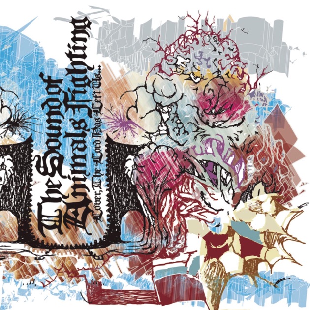 Skullflower - أغنية من ‫The Sound of Animals Fighting
