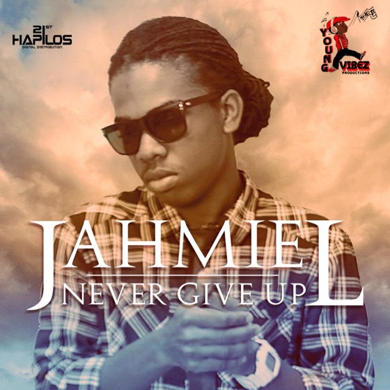 Cover artwork for Never Give Up