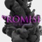 Promise (feat. Nathan Ballard) - C.J. Johnson lyrics