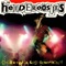 Can't Find My Brains - Heideroosjes lyrics