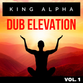 Dub Elevation, Vol. 1