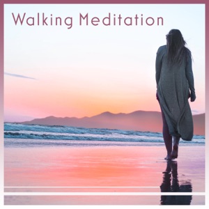 Walking Meditation – Nature Music, Awaken Intuition, Pure Positive Vibes, Mindfulness of Breathing, Focus