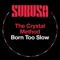 Born Too Slow - Single