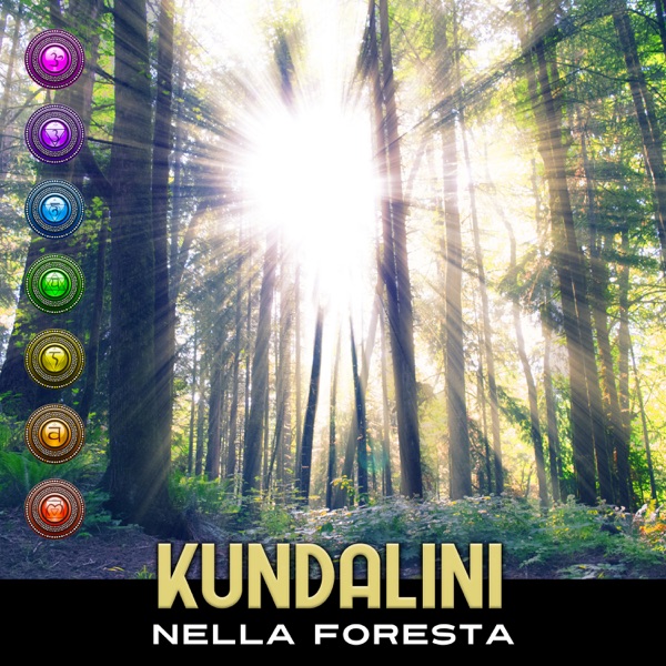 Kundalini nella foresta - Ottenere più energia interna per lo yoga e la meditazione, suoni della natura per armonia e equilibrio