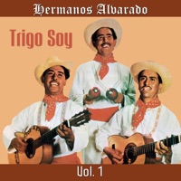 Un Día Estaremos Con el Señor