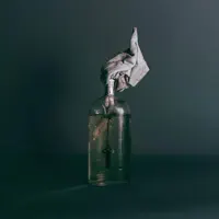 Liars — Hidden Hospitals