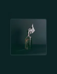 收听 Hidden Hospitals、观看音乐视频、阅读小传、查看巡演日期等 ！