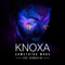 Something More (feat. Georgia Ku) - Knoxa lyrics