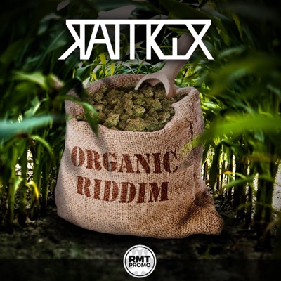 Organic Riddim - Single