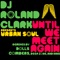 Until We Meet Again - DJ Roland Clark & Urban Soul lyrics