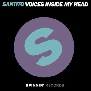 Voices Inside My Head - Single