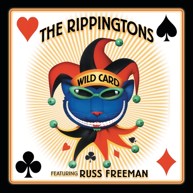 B103 The Rippingtons CD セット　ザ・リッピントンズ Rippingtons - Best of The Rippingtons - Amazon.com Music