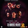 Si Quieres Volver (Remix) [feat. Juanka, Sammy & Falcetto, Endo & Kodigo] - Single