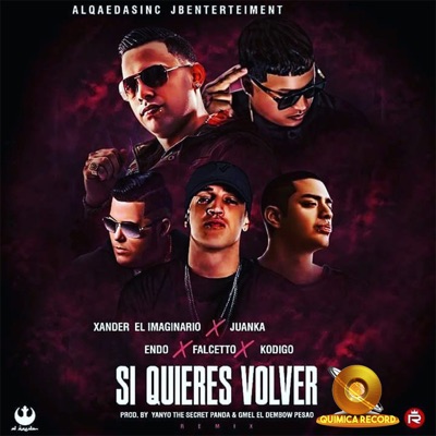Si Quieres Volver (Remix) [feat. Juanka, Sammy & Falcetto, Endo & Kodigo] - Single