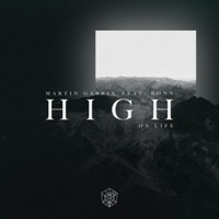 MARTIN GARRIX feat BONN - High On Life Chords and Lyrics