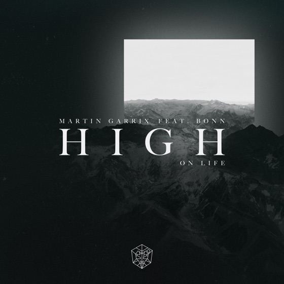 Cover artwork for High on Life (feat. Bonn)