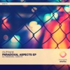 Paradoxal Aspects - Single