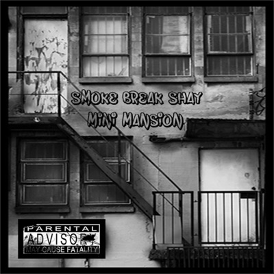 Mini Mansion - Single