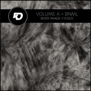 Body Image // Cold - Single