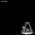 DEEP FEELING-Do You Wanna Dance DEEP FEELING-Do You Wanna Dance