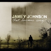 Jamey Johnson - Mowin' Down the Roses