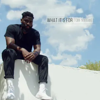 What It's For - Single by Tobe Nwigwe album reviews, ratings, credits