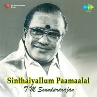Sinthaiyallum Paamaalal - T. M. Soundararajan
