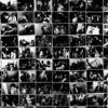 Nick Cave & The Bad Seeds - Live Seeds artwork