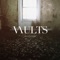 Lifespan (MMOTHS Remix) - Vaults lyrics