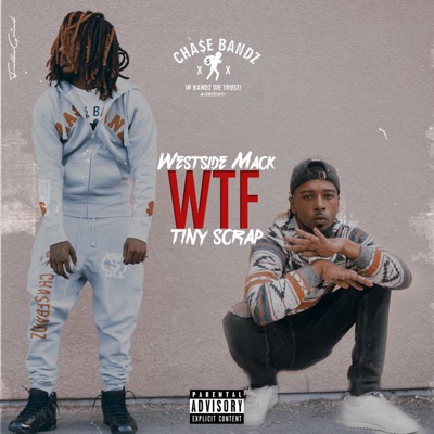 WTF (feat. Tiny Scrap) - Single