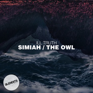 Simiah / The Owl - Single